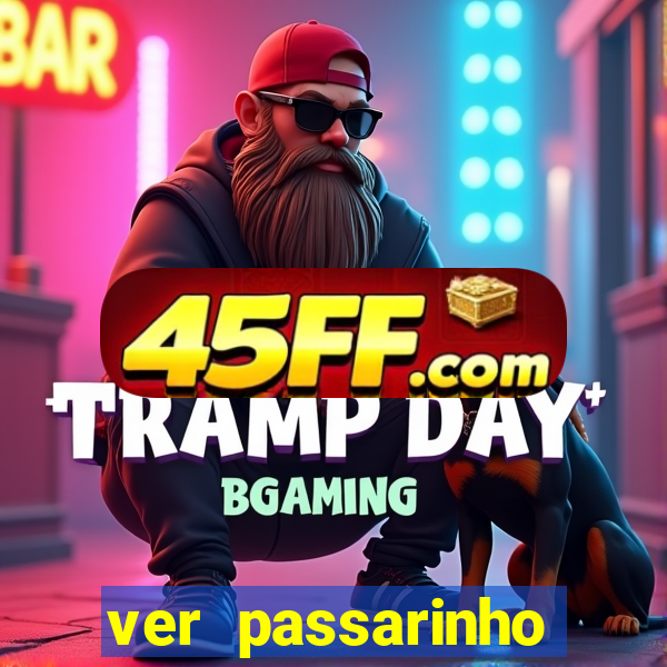 ver passarinho morto significado espiritual